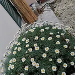 Il Giardino Di Maura - Aemme2 Πανσιόν