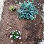 Il Giardino Di Maura - Aemme2 4*