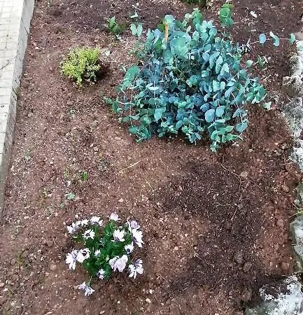 Il Giardino Di Maura - Aemme2 4*