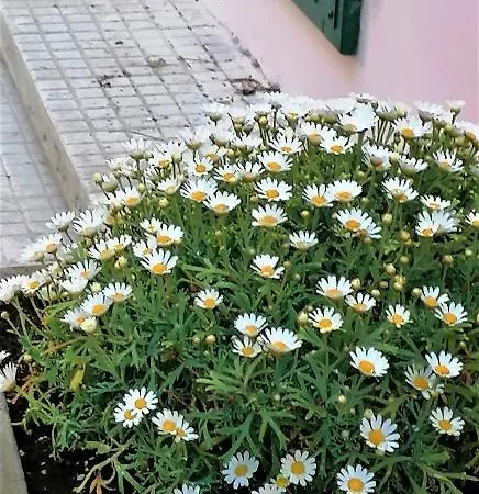 Il Giardino Di Maura - Aemme2 3* 雷卡纳蒂